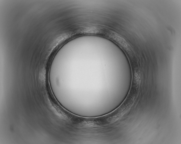 X0000112070534200908111435