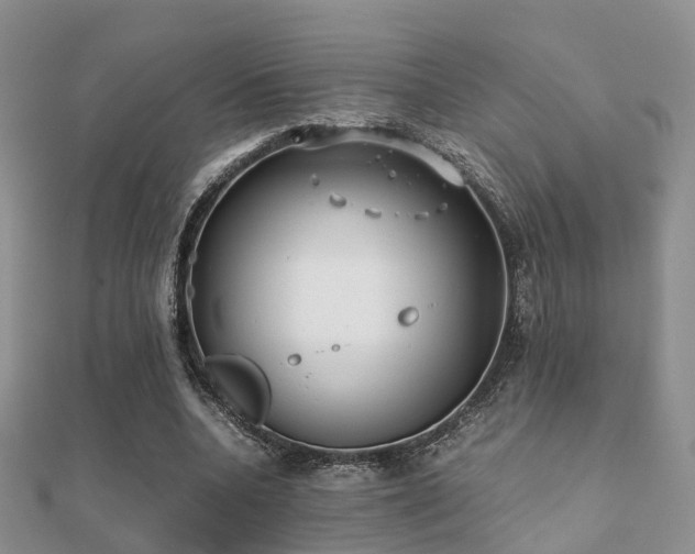 X0000112070536200908111435