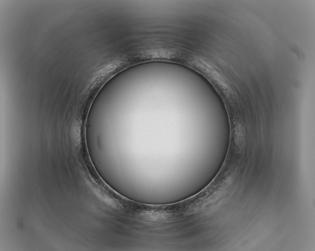 X0000112070537200908111435