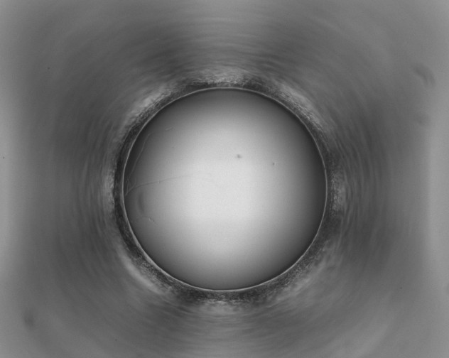 X0000112070538200908111435