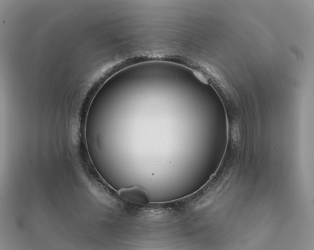 X0000112070540200908111435