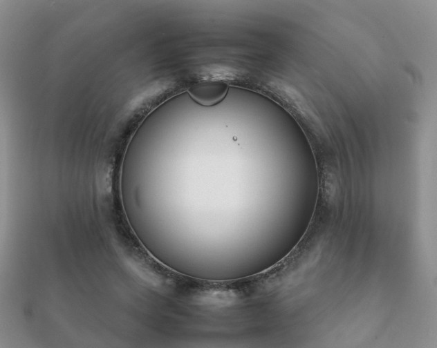 X0000112070543200908111435