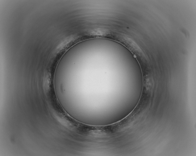 X0000112070544200908111435