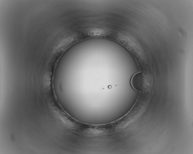 X0000112070545200908111435