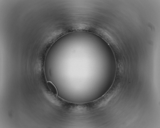 X0000112070546200908111435