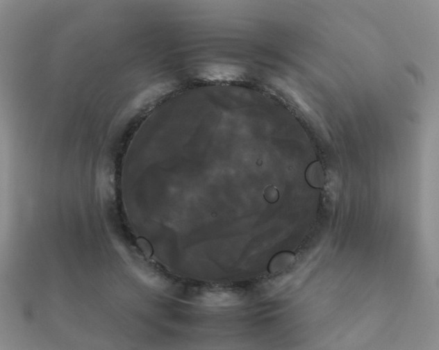 X0000112070547200908111435