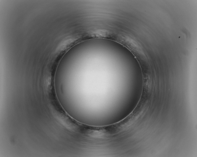 X0000112070548200908111435