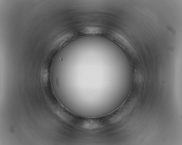 X0000112070549200908111435