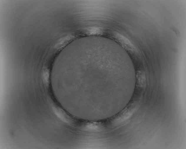 X0000112070550200908111435