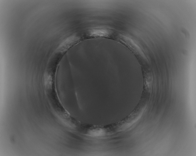 X0000112070551200908111435