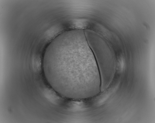 X0000112070552200908111435