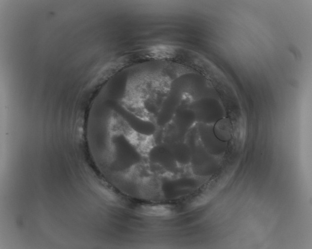 X0000112070553200908111435