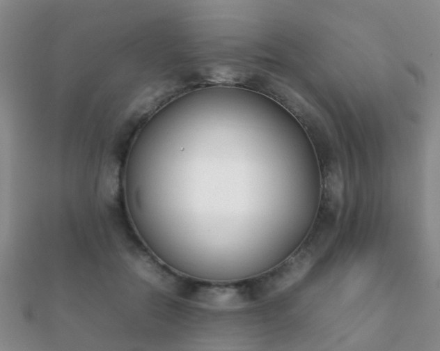 X0000112070554200908111435