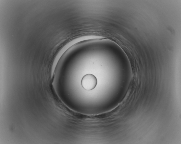 X0000112070556200908111435