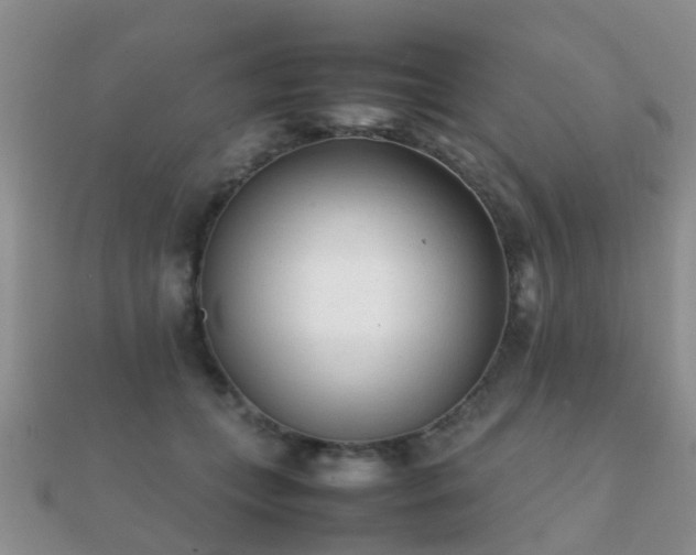 X0000112070559200908111435