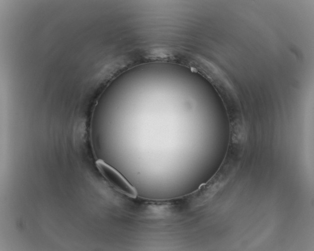 X0000112070560200908111435