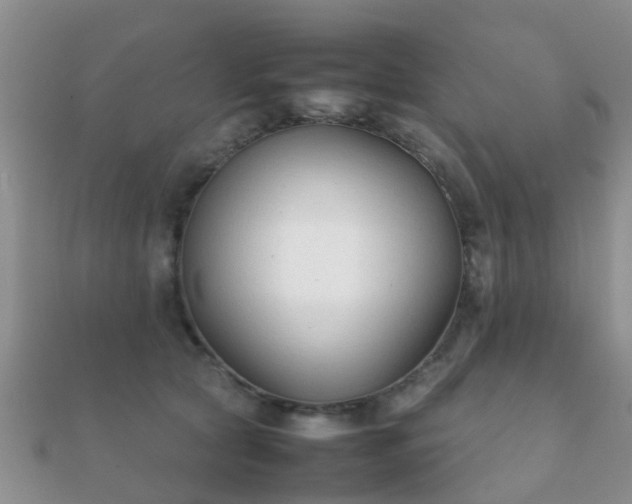 X0000112070561200908111435