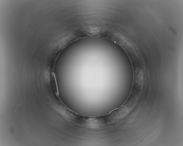 X0000112070562200908111435