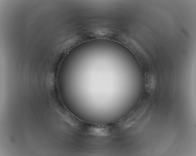 X0000112070563200908111435