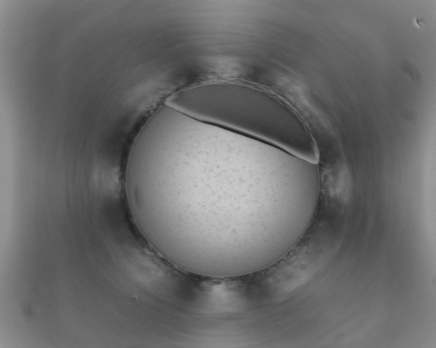 X0000112070564200908111435