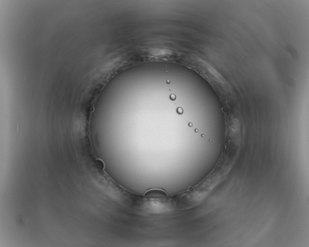 X0000112070565200908111435