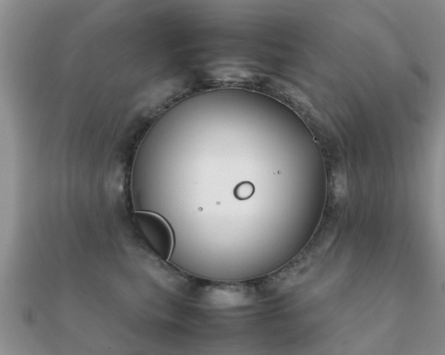 X0000112070567200908111435