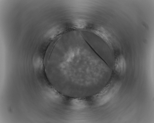 X0000112070568200908111435