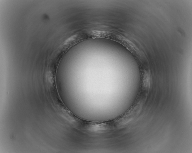 X0000112070569200908111435