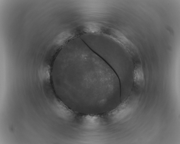 X0000112070570200908111435