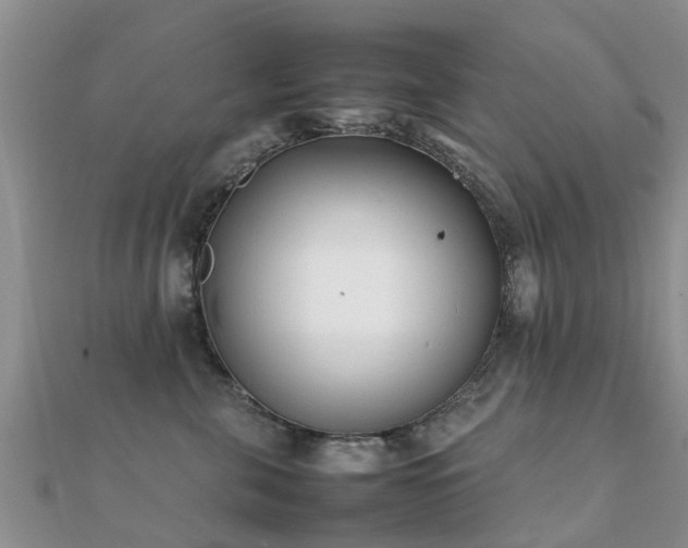 X0000112070571200908111435