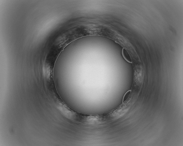 X0000112070574200908111435