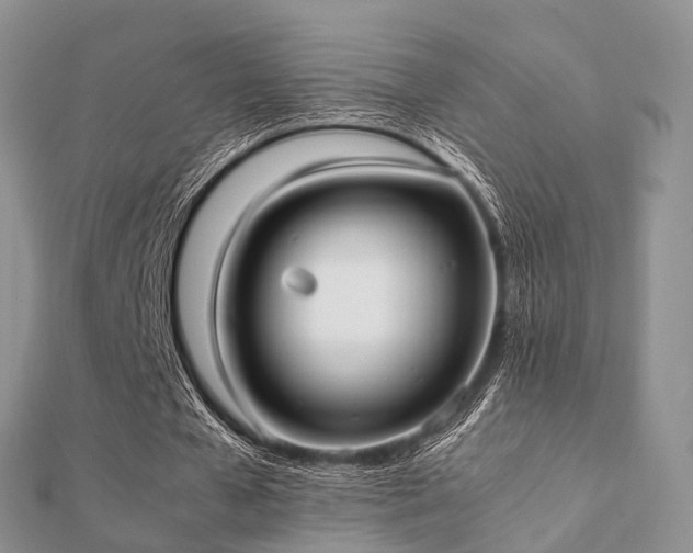 X0000112070577200908111435