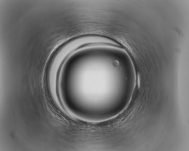 X0000112070579200908111435