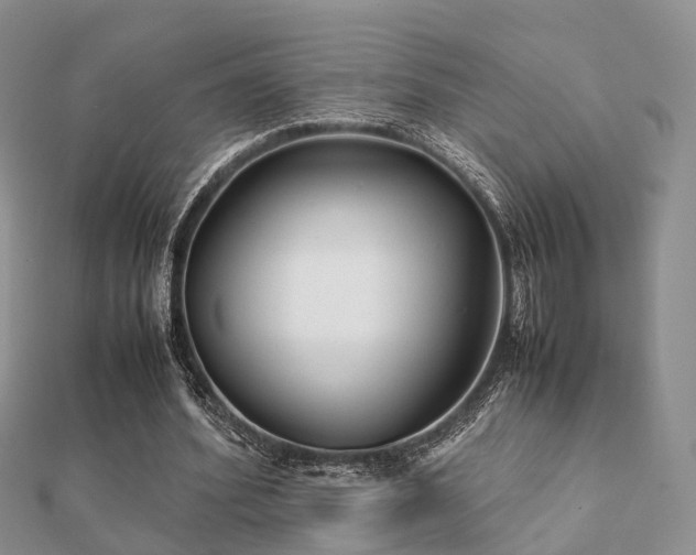 X0000112070580200908111435