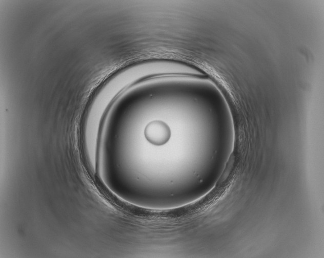 X0000112070581200908111435