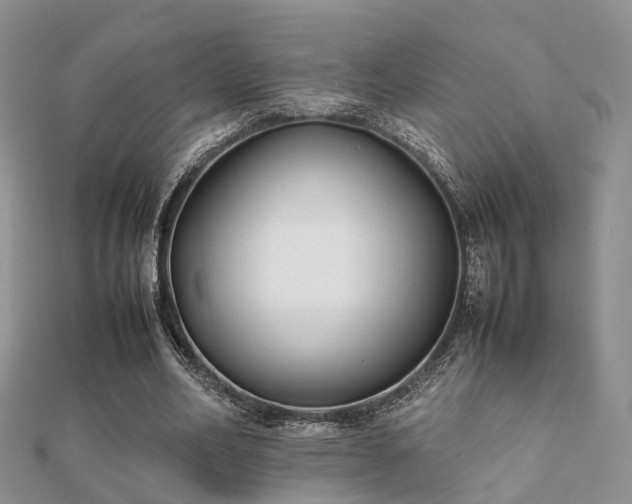 X0000112070582200908111435