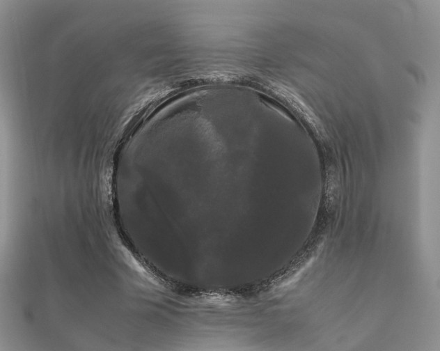 X0000112070585200908111435