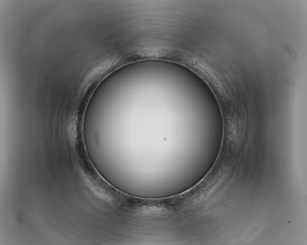 X0000112070586200908111435