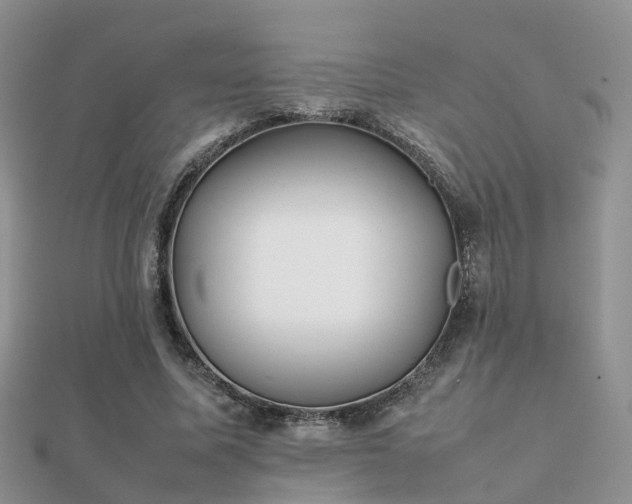 X0000112070587200908111435