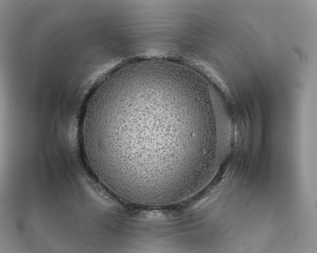 X0000112070588200908111435