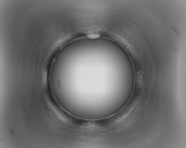 X0000112070589200908111435