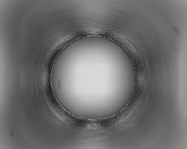 X0000112070591200908111435