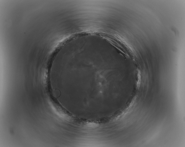 X0000112070592200908111434