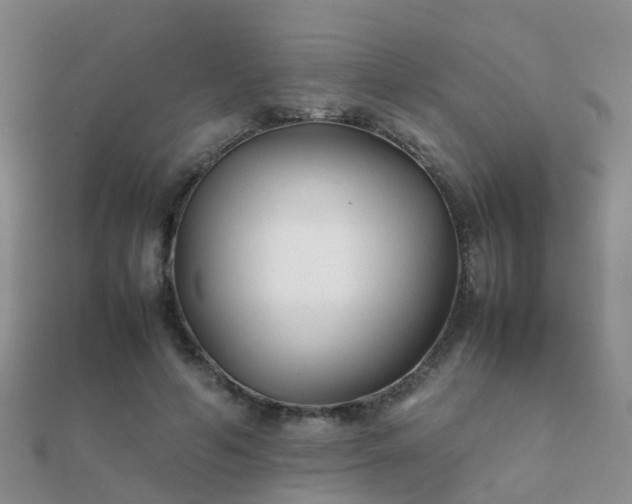 X0000112070594200908111434