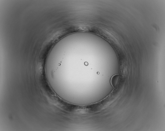 X0000112070595200908111434