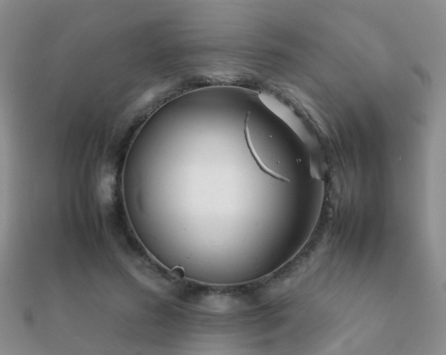 X0000112070596200908111434