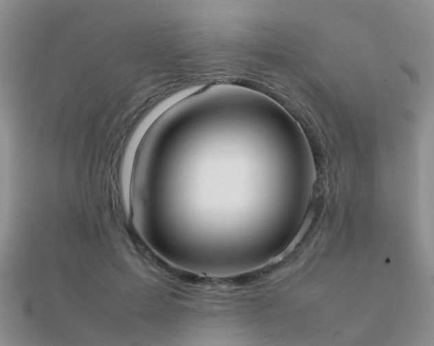 X0000112070599200908111434