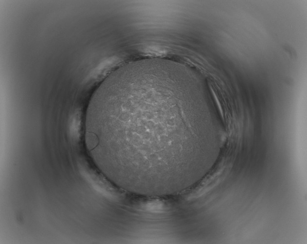 X0000112070600200908111434