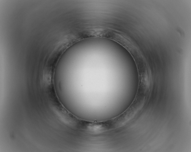 X0000112070602200908111434