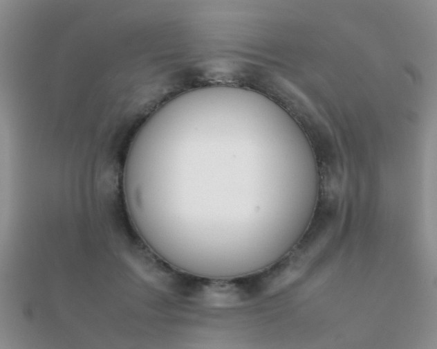 X0000112070603200908111434